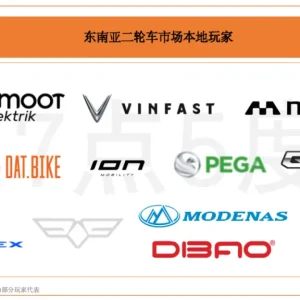 A Comprehensive Overview of the Southeast Asian Electric Two-Wheeler Market (Part 1)